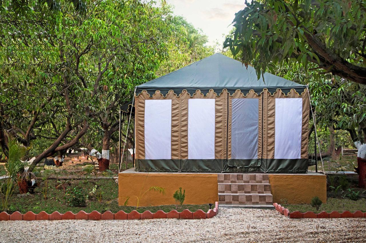 فندق Gir Lion Safari Camp By Trulyy, Sasan Gir Sodaori المظهر الخارجي الصورة